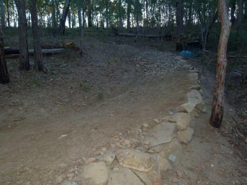 P1140914.jpg